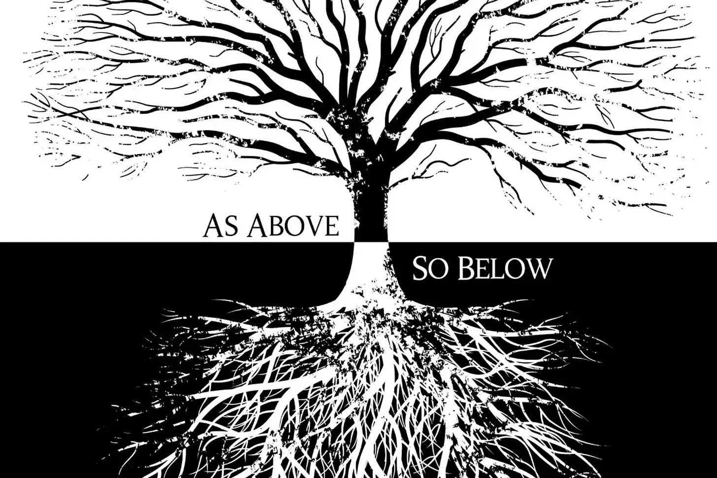 Tree with roots and branches symbolizing growth and connection in black and white.